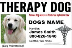 Custom ID Card / Badge for Working Dogs and Handler Therapy Dog #3 