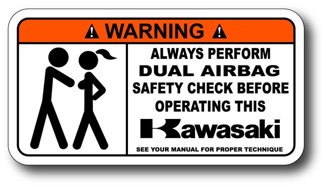 Airbag Check Kawasaki Ninja Warning Sticker Decal 600  